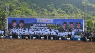 2A1Ac739 77E0 438B 84D6 5Fb0371857C5