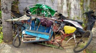 Tukang Becak Di Situbondo Meregang Nyawa Setelah Diseruduk Mobil Boks