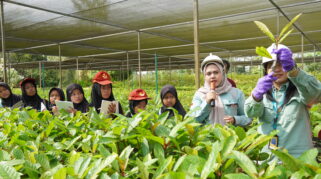 20251004 Site Visit Sd Rante Angin Taman Kehati Sawerigading Wallacea 200