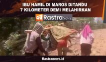 Video: Viral Ibu Hamil Di Maros Ditandu 7 Km Demi Bisa Melahirkan Img 20251014 Wa0001