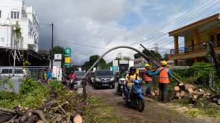 5363Dbaa Aeb9 413F 8D11 06Fb6B5D3Af9