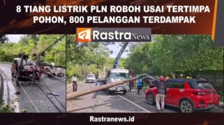 Img 20251121 Wa00031