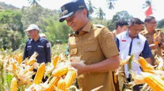 Bank Indonesia Telah Mengakui Bone Sebagai Daerah Dengan Pengelolaan Mini Distribution Centre (Mdc) Terbaik, Sekaligus Menjadi Wilayah Dengan Stok Beras Dan Gula Tertinggi Di Provinsi Ini.