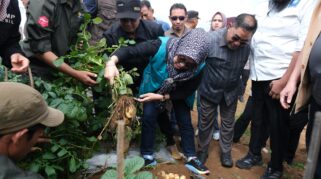 Pemerintah Kabupaten (Pemkab) Gowa Terus Memperkuat Sektor Agribisnis Sebagai Tulang Punggung Ekonomi Daerah Melalui Focus Group Discussion (Fgd) Pengembangan Agribisnis Komoditas Kentang Dan Sapi Potong Yang Dirangkaikan Dengan Program One Day One District Di Desa Kanreapia, Kecamatan Tombolo Pao, Sabtu (29/11).