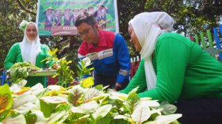 Whatsapp Image 2025 11 02 At 07.37.30 C5Fe8436