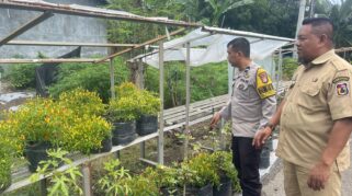 C6A1Ee52 5920 4Ec9 890B 4A26B09C129D