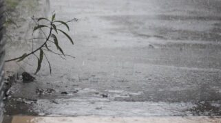 Ilustrasi Hujan. (Istimewa)