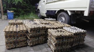 Palang Merah Indonesia (Pmi) Mengirimkan Bantuan Makanan Siap Saji Berupa 100 Ribu Butir Telur Asin Untuk Memenuhi Kebutuhan Pangan Para Penyintas Yang Masih Berada Di Lokasi Pengungsian.