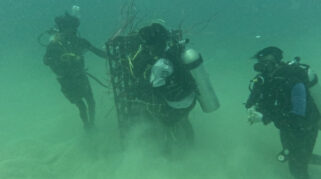 Dkp Telah Membangun 1.657 Unit Apartemen Ikan Selama Tahun 2025 Untuk Pengembangan Kawasan Perikanan Rakyat. (Foto: Pemprov Sulsel)