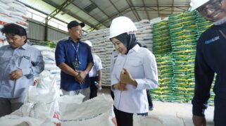 Naili Trisal Saat Kunjungan Itu Didampingi Kepala Dinas Perdagangan Kota Palopo Bersama Jajaran Dinas Ketahanan Pangan, Kabag Perekonomian Setda, Serta Stakeholder Terkait Lainnya. (Foto: Kominfo Palopo)